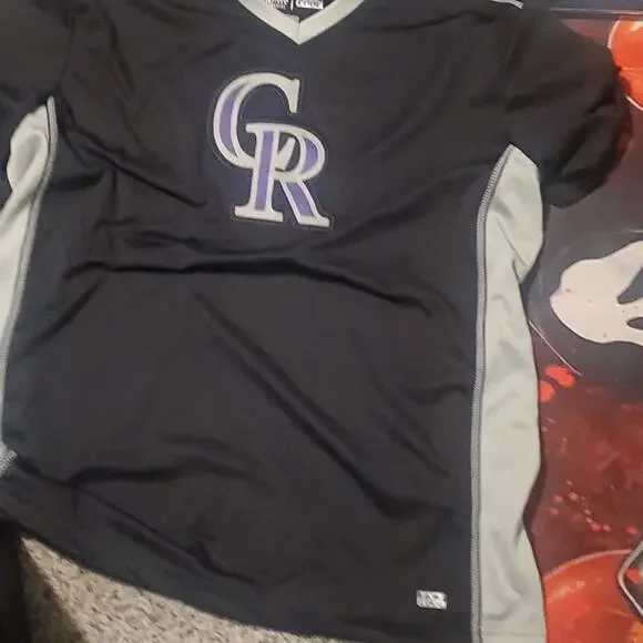 COLORADO ROCKIES LOT - Picture 9 of 11